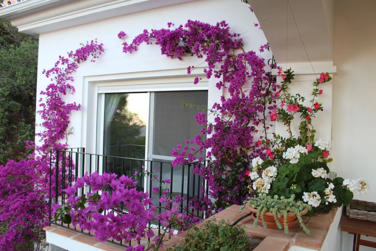 461e1fd8-74ce-45c2-8d09-a7148c5cab5e