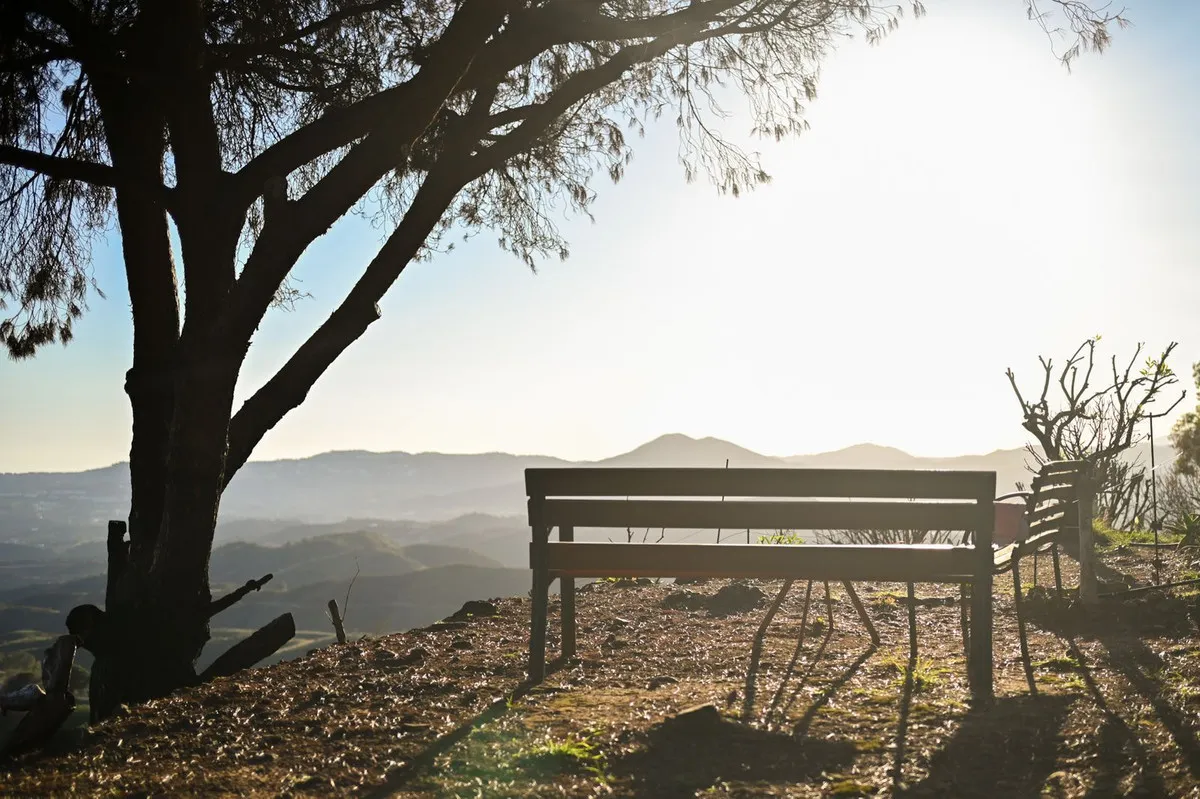 794ce0a4-b3e2-4187-879a-106f8a0f42f2