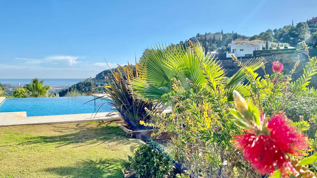 d82330a4-8e34-49b9-bd51-5a99b721b8f8