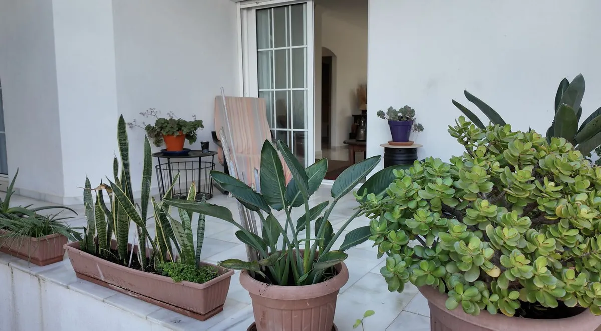 aca471e7-7de0-46cd-9ee7-87b521d98aab