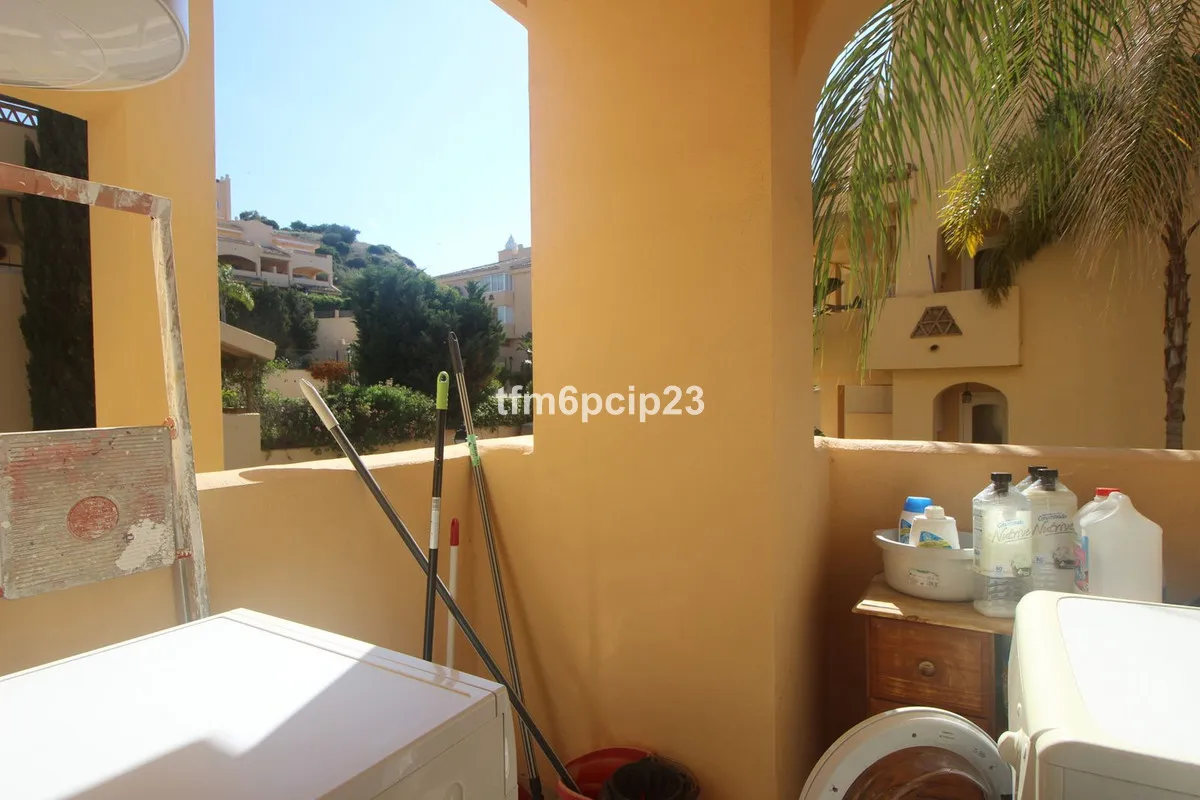 a9969575-79d1-443e-8c30-096cc0a55a91