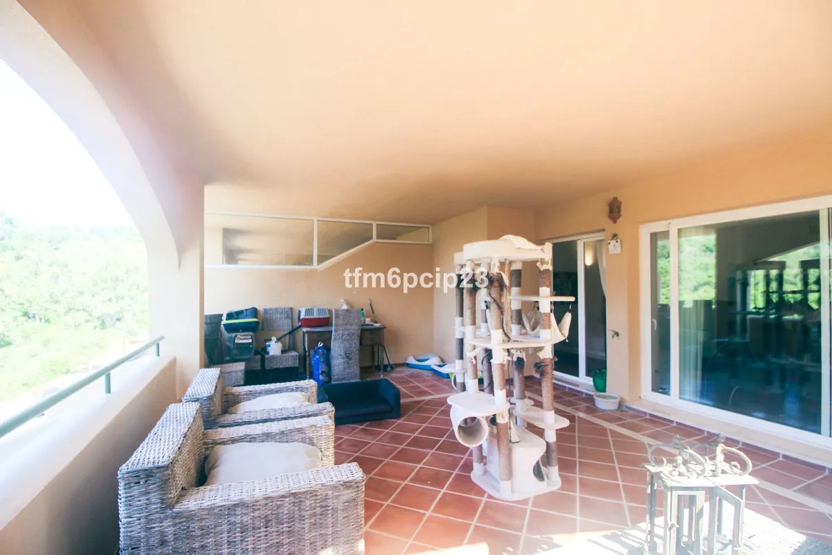 d921808e-faf6-4fca-b1f6-5f67bd022166