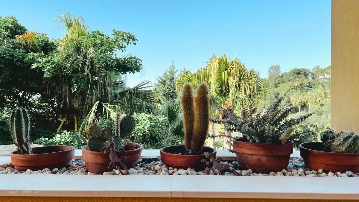 e337acab-a932-4272-9297-c07f16f7e58d