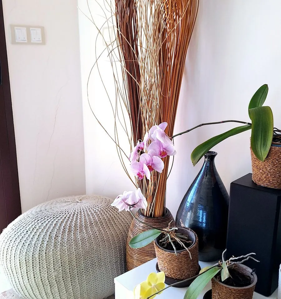 42a86f9b-c591-4311-9b3e-a3c8e48b8980