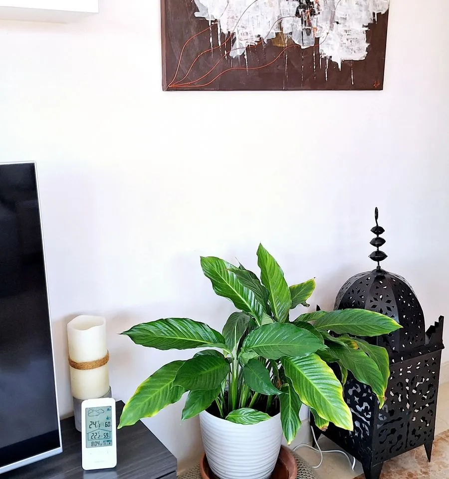 f8dd6572-8504-41ec-b9f7-f345e965a57d