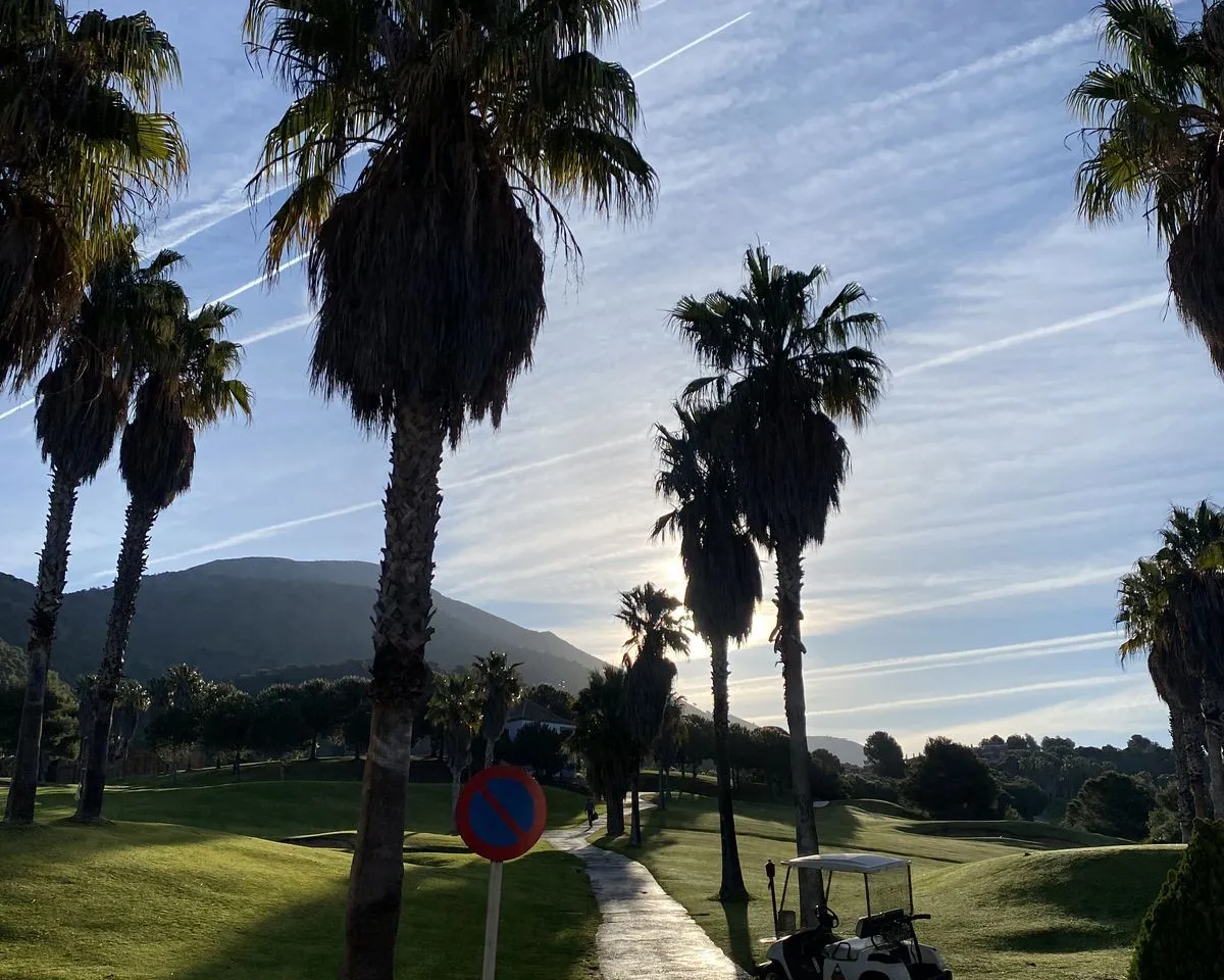 29cdf6a5-c2fa-4aca-a83f-e1c1e0fa5ca2