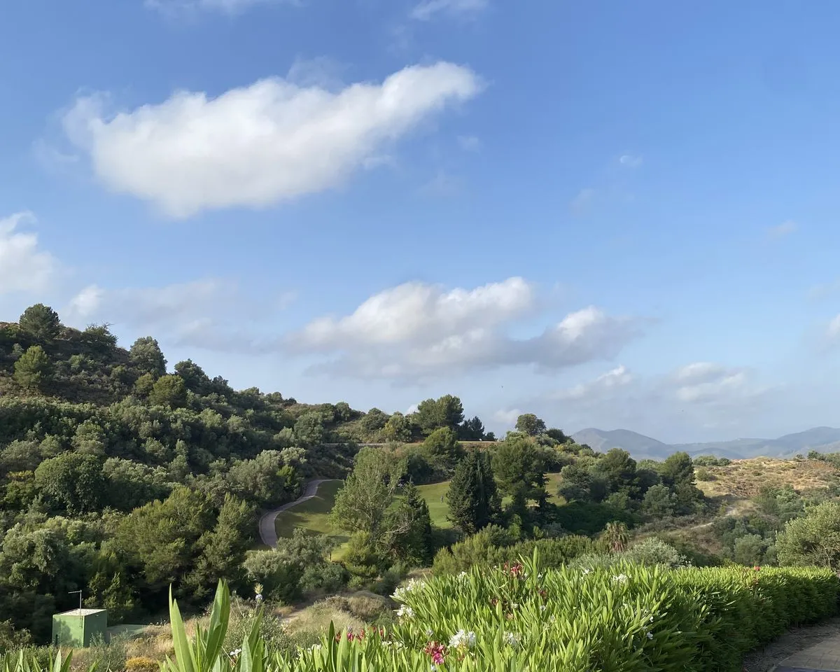 c99d0660-b15c-4593-a098-6fd27d365835