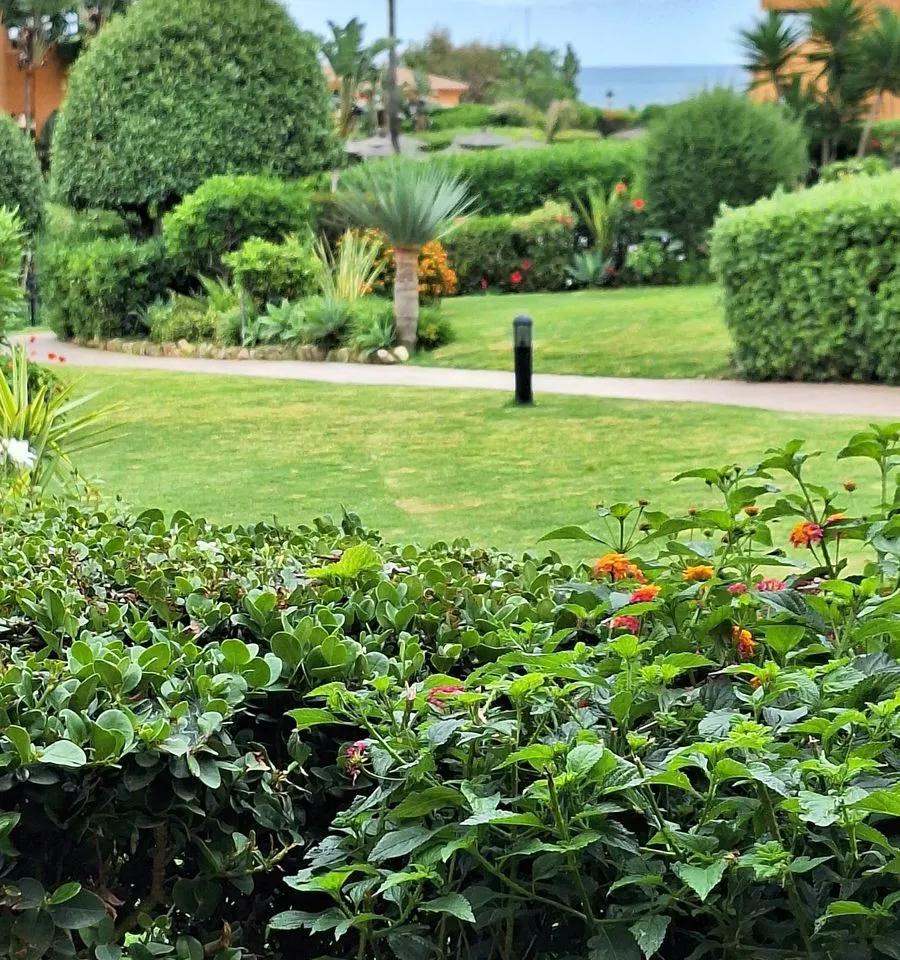 fc04eb0a-e865-4ca7-a838-7f2a7615754c