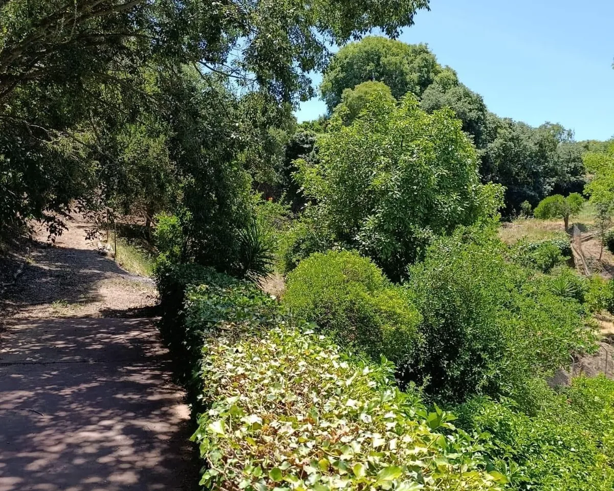 8c50fb32-1250-48f1-b8eb-1dc64e7d2fc9