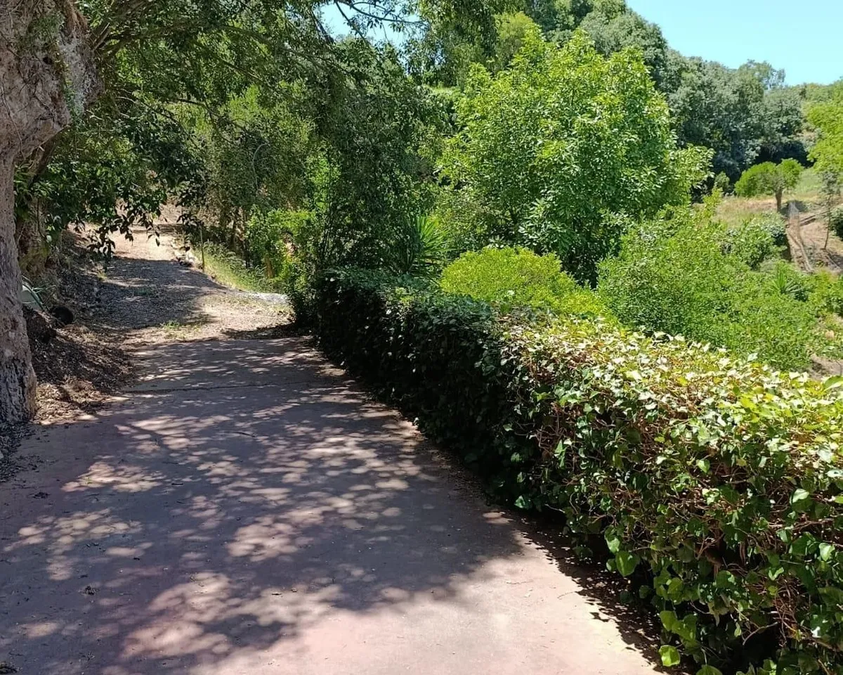 930c41f9-5667-4058-9e15-0771832a8d38