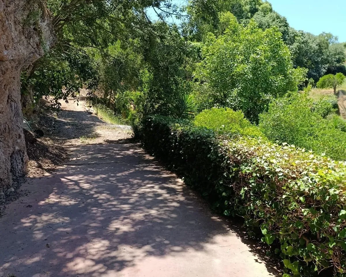 aaf449d8-3dac-47b9-910c-67f46d1934b2