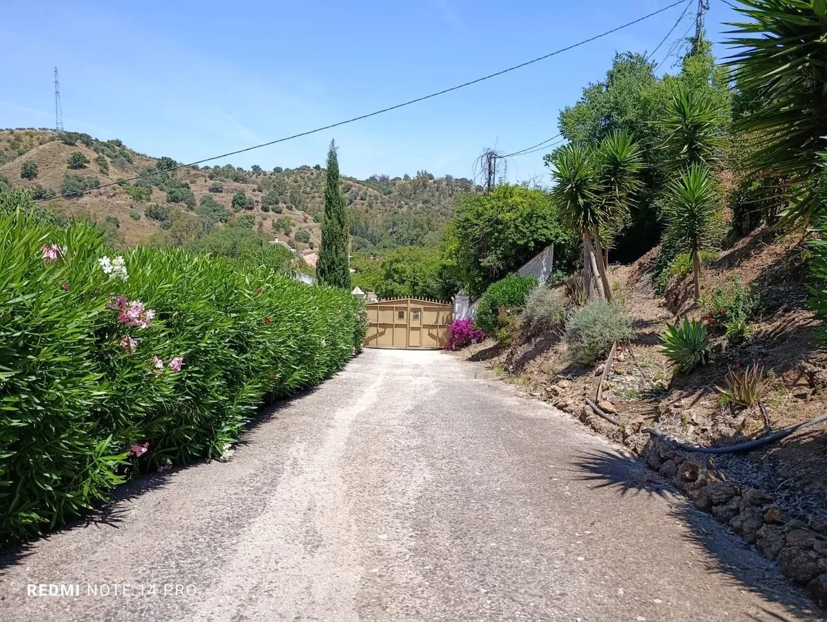 b9e99a94-8458-49b7-a094-ac4d1d95d27f