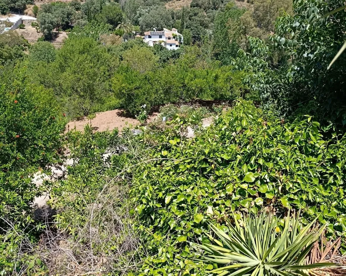 d11b1734-4f42-40af-b51d-0e603addc3d7