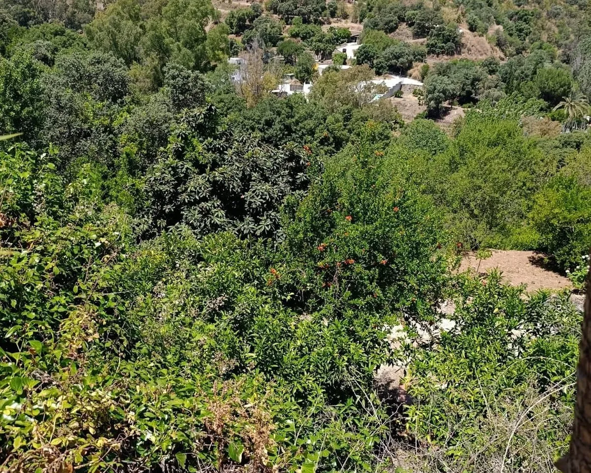 d33f2240-445a-49a0-ae46-359d1f4e4f05