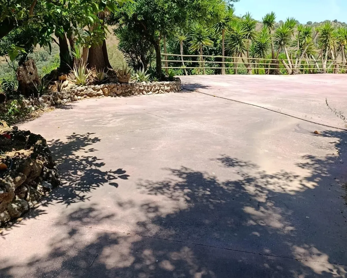 d78994fe-0e63-4a79-9743-6ce959d988d4