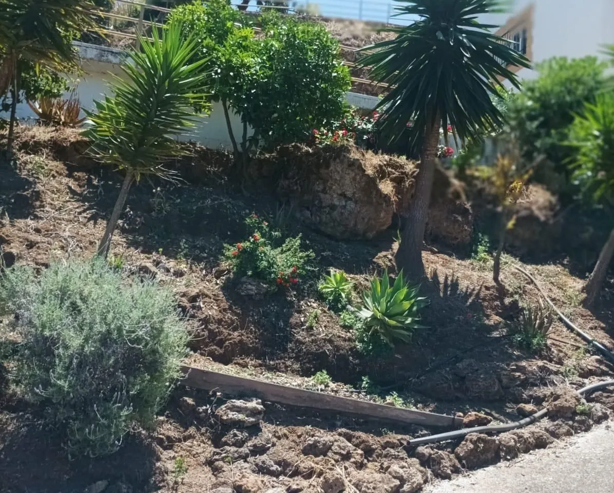 ef39d5ad-3062-44c8-83f0-c9b603a8b10d