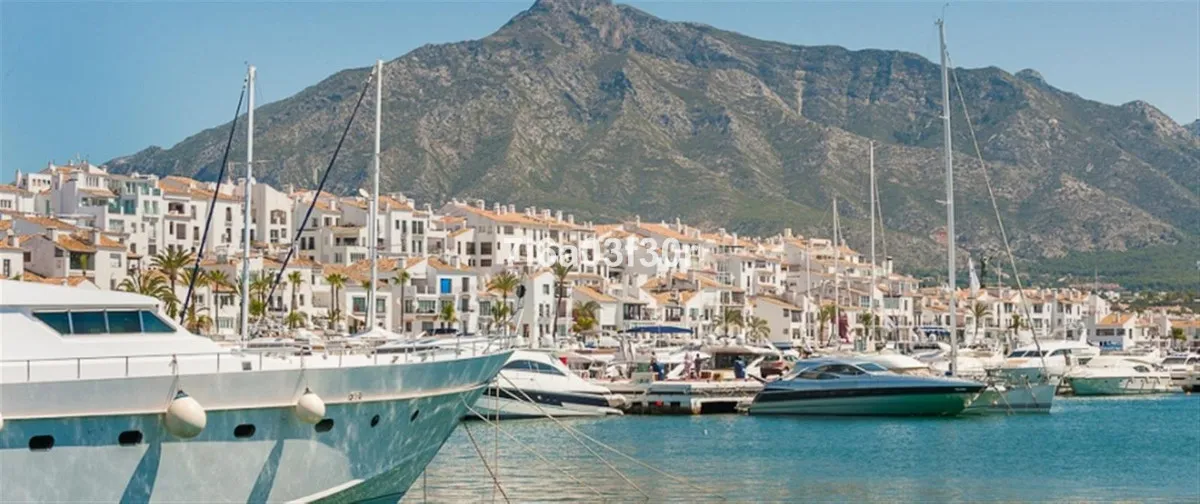 3d1c0ba6-1254-4705-97d6-6503b820a784