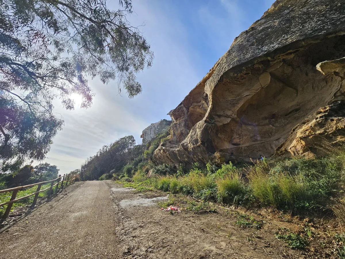 f55ea9e8-3f58-4720-a70c-abf97f41ee9d