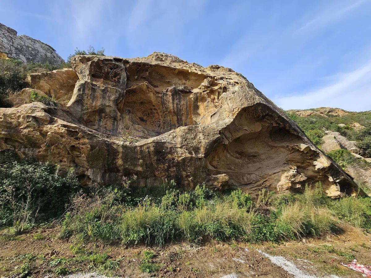 fbefed18-f2dc-4da3-8317-b9161ab20fc7