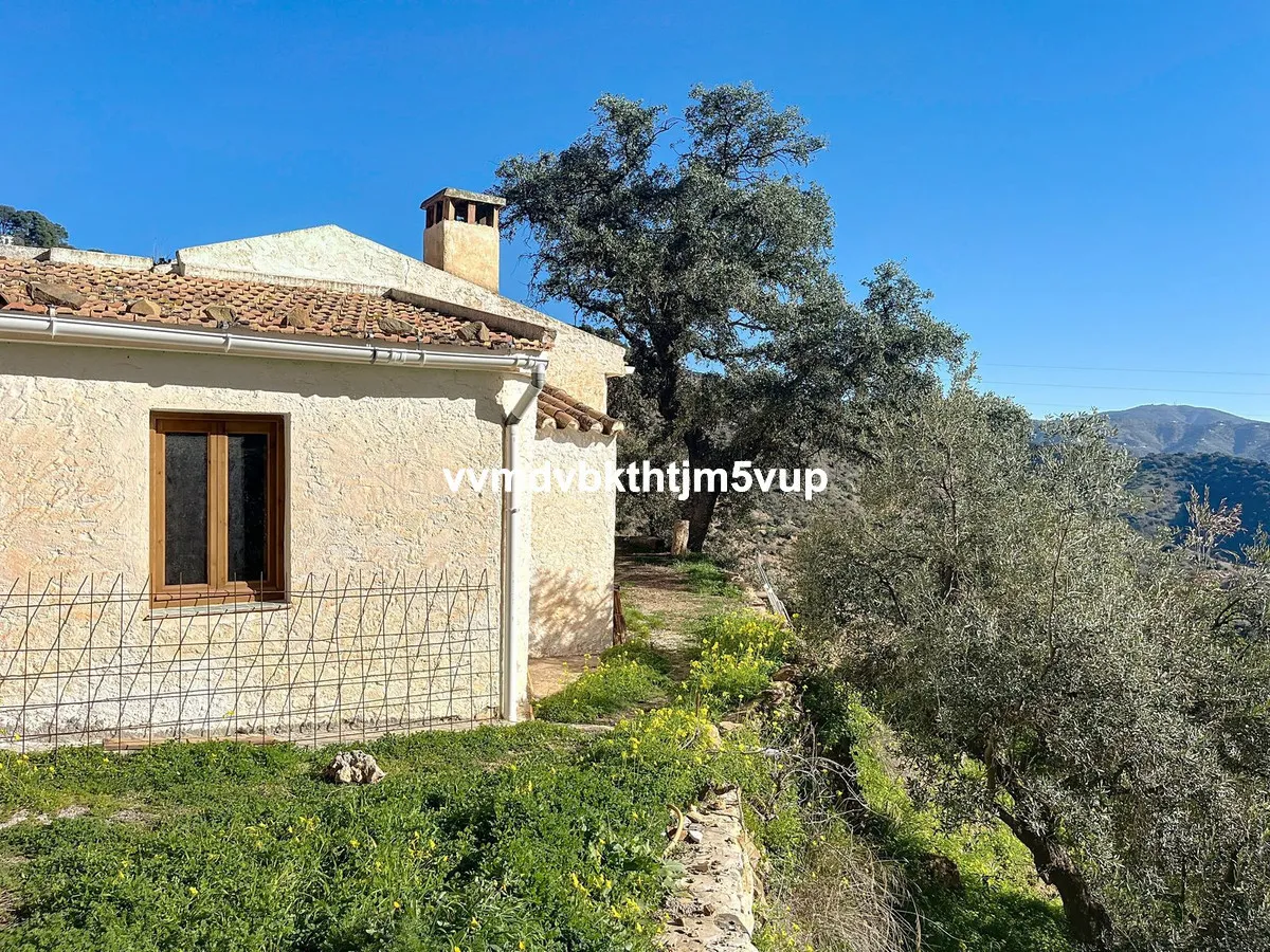 0e65e501-4a9b-464d-8bbe-03cf272b71fc