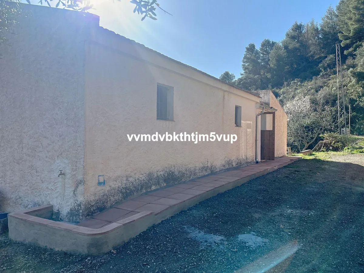 2853067a-a43c-46d0-b779-f45613321306