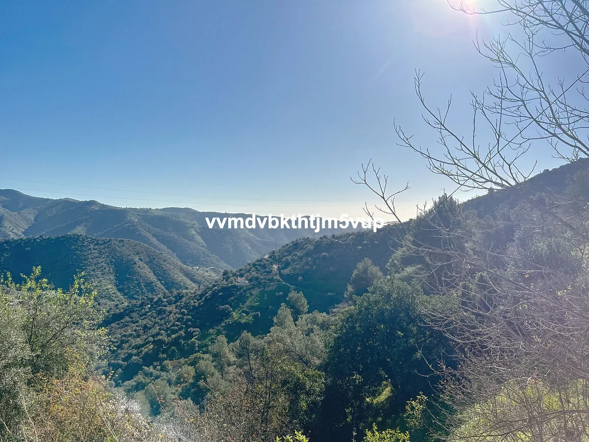 652b5103-137c-4046-8e70-6f2f87587dd0