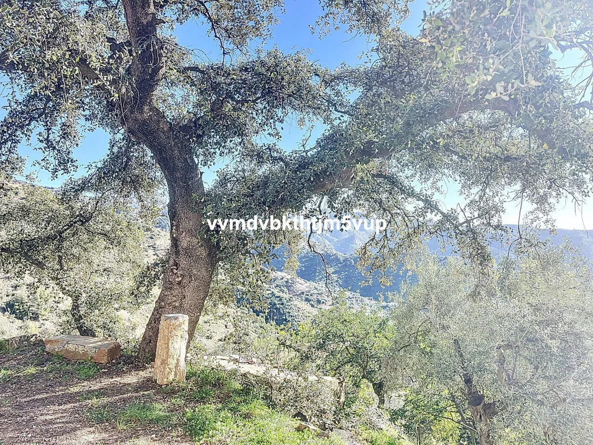 905601de-73c5-43f9-85ba-db5d1667536c