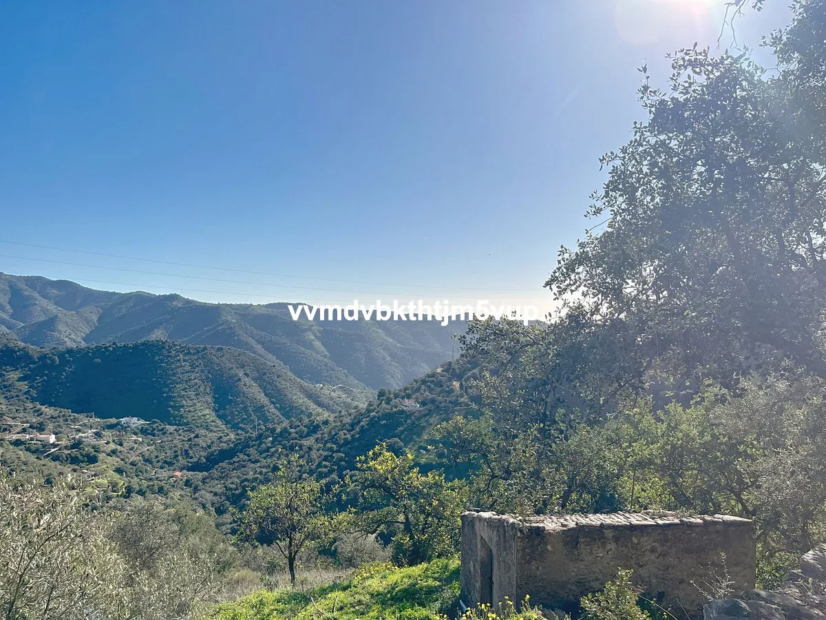 917e3331-21b4-4ac7-8d10-0f0585e5b197