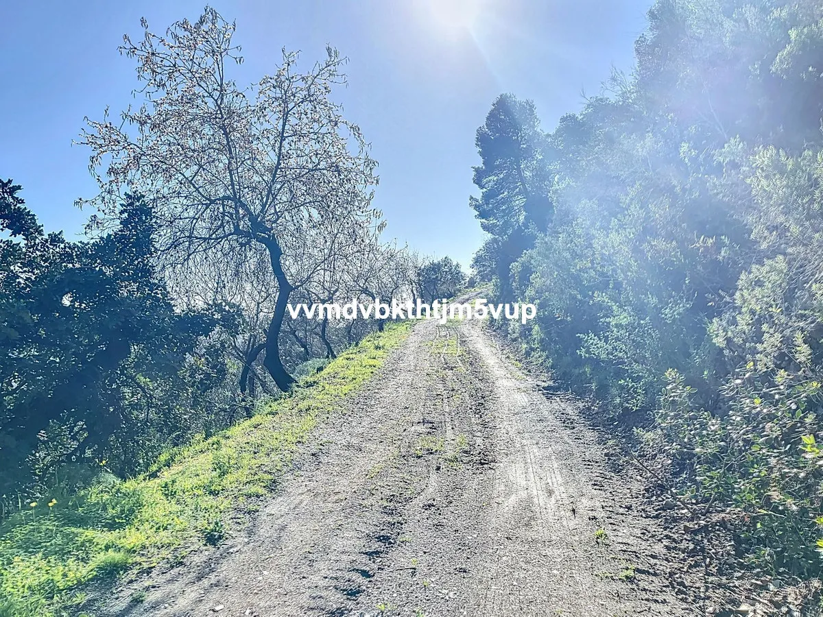 b95c9d0d-a8fc-4949-8ca4-36ef9e4467c3