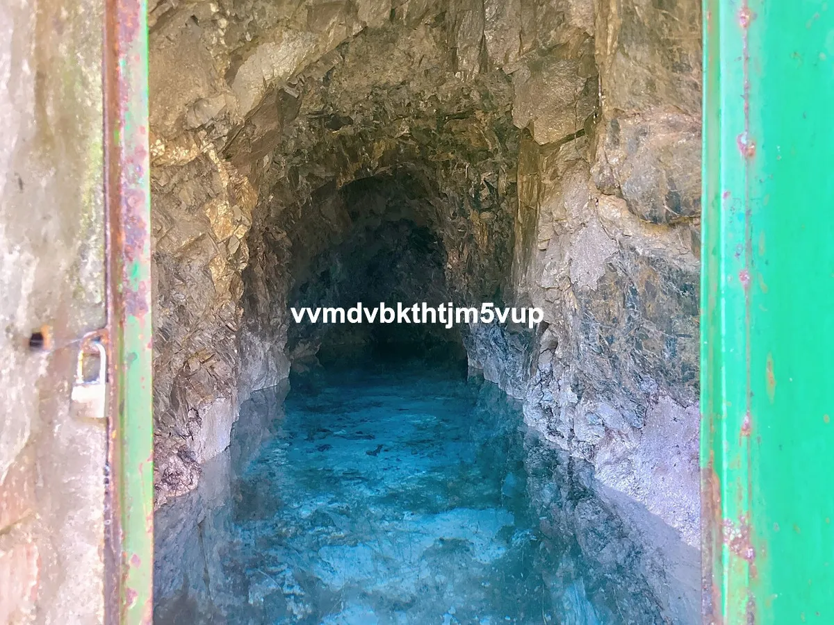 d83dd8ad-a50e-4a94-9f49-80a89fa20026