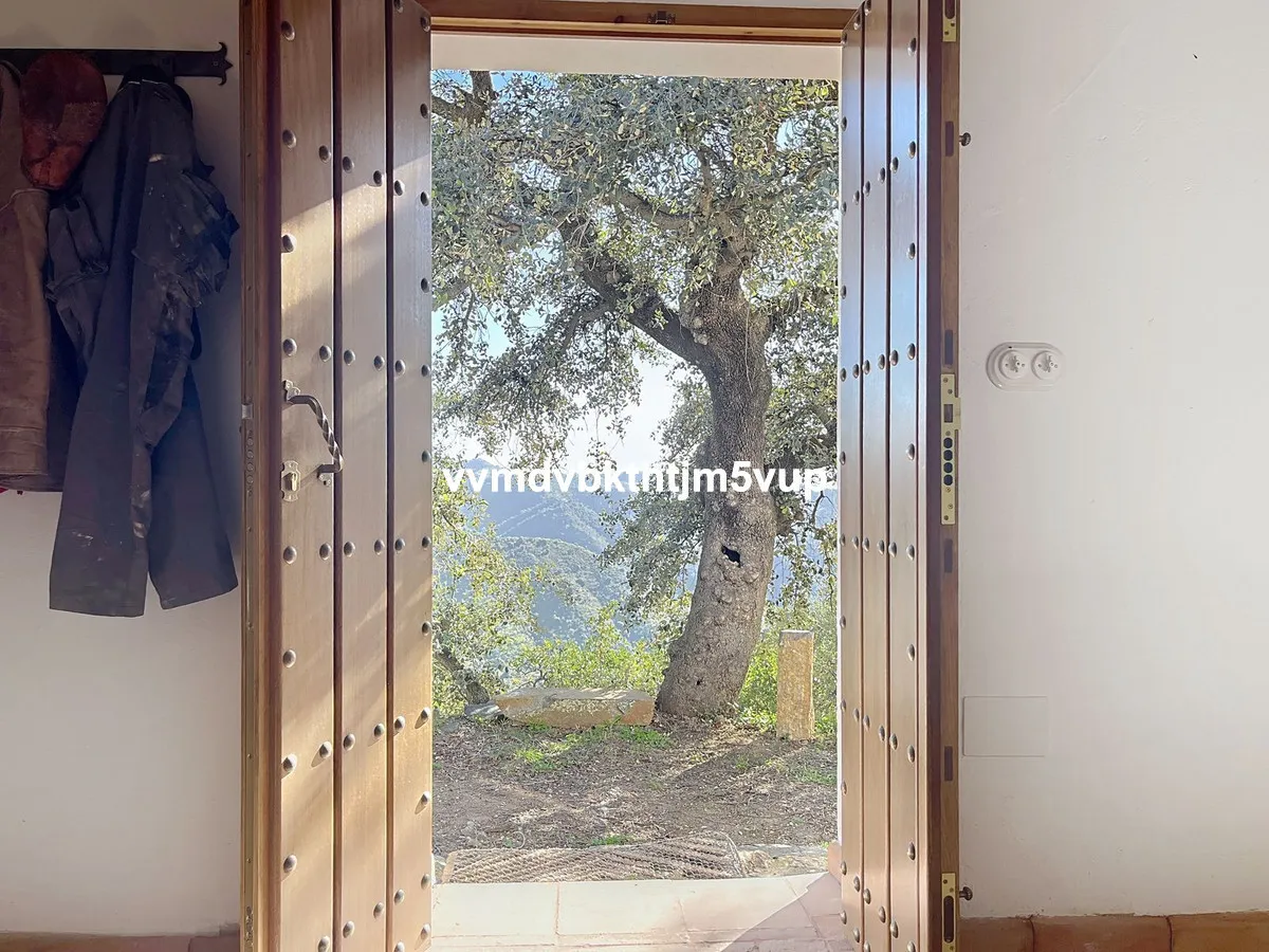 f8aa5a40-11f8-499d-9361-2a798058b38d