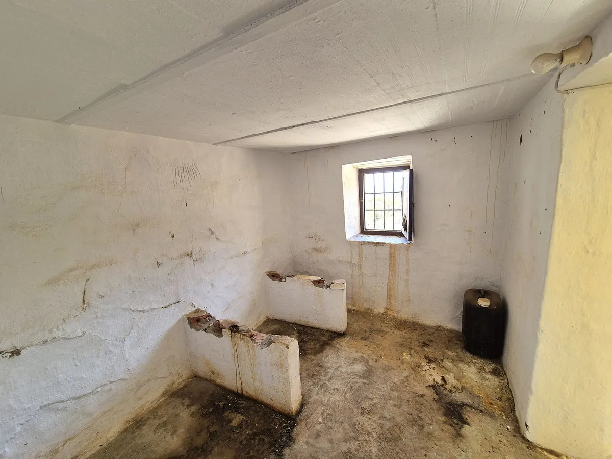 4c99fc7d-3c6d-4994-af52-6bd38e188d5c