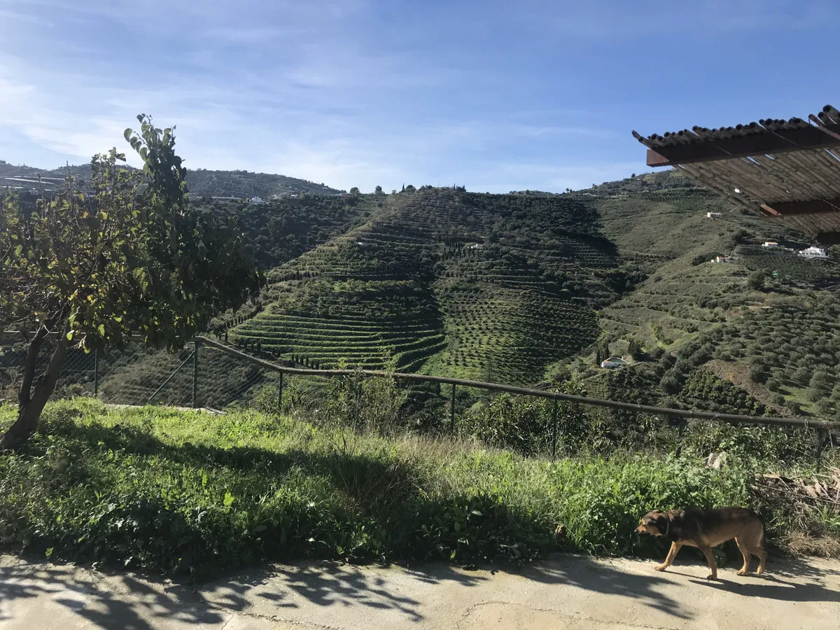 18f091d3-1267-4138-a975-688e50ff8948