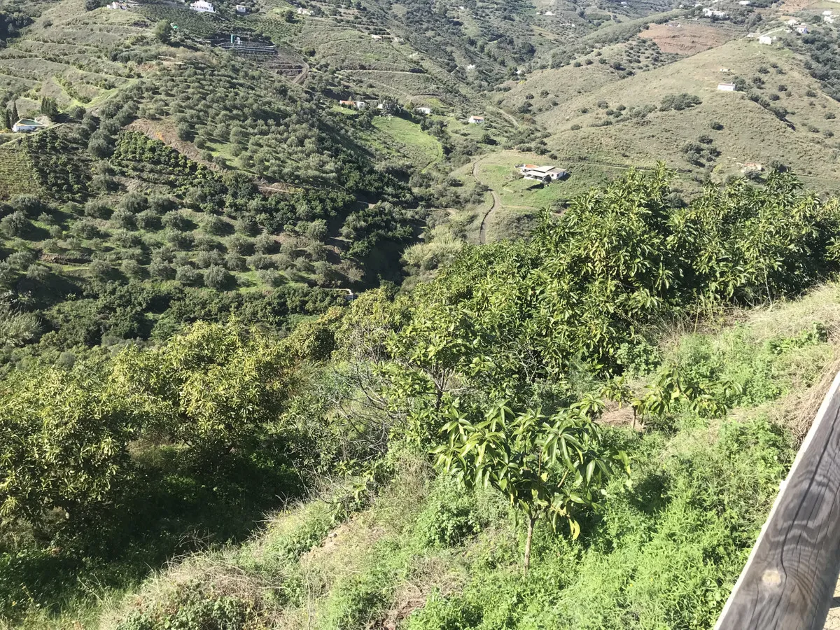 4c384a6d-6c4f-448e-9034-e29a20b4db96