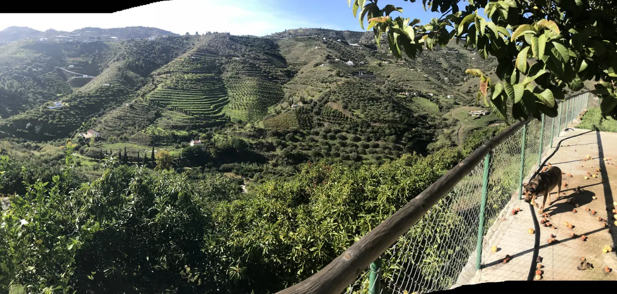 98a9cb18-cc07-4102-8416-d173cfca10eb