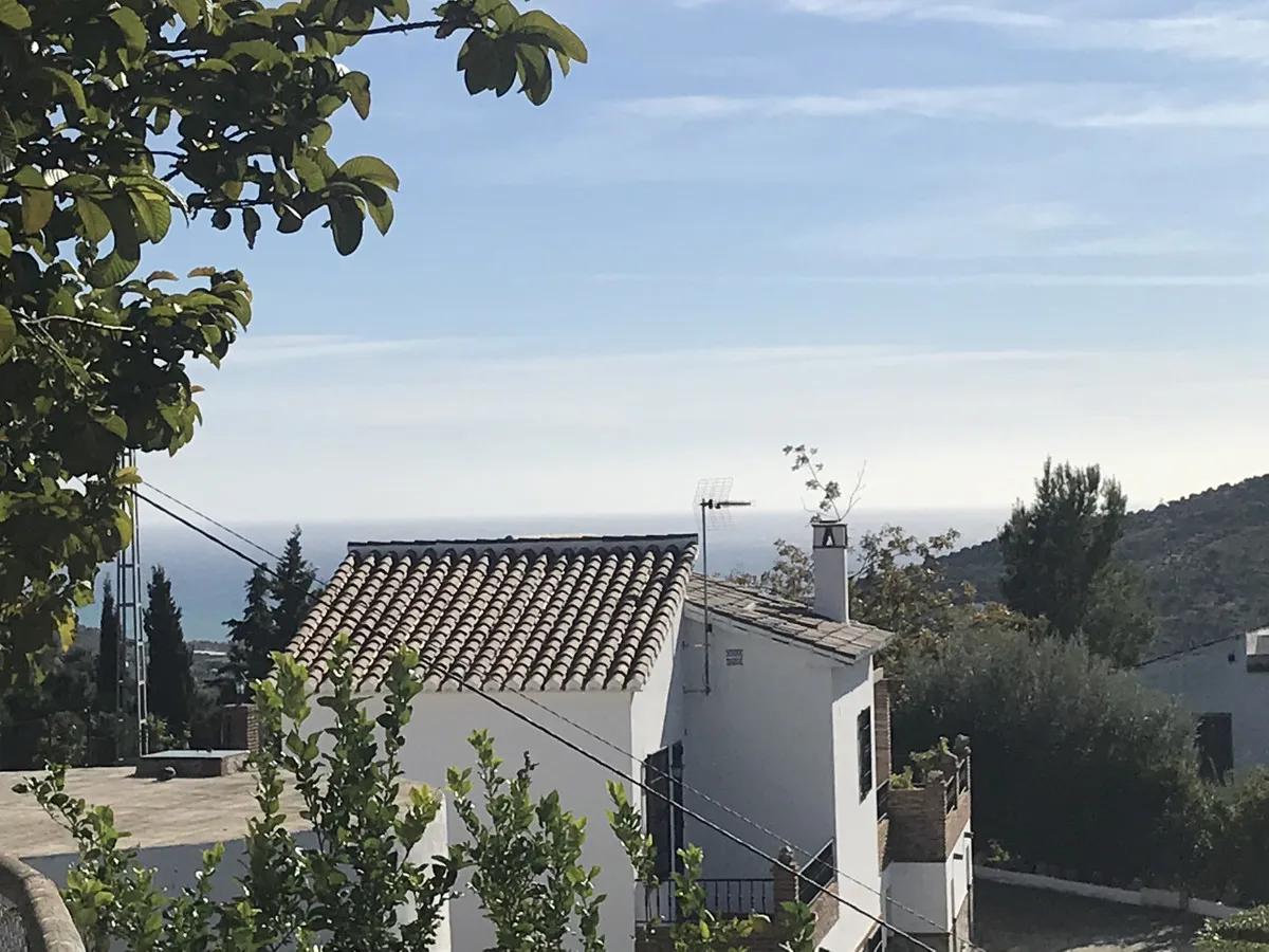 bb6c5c81-45a6-46d6-8618-22e75ff69e8c