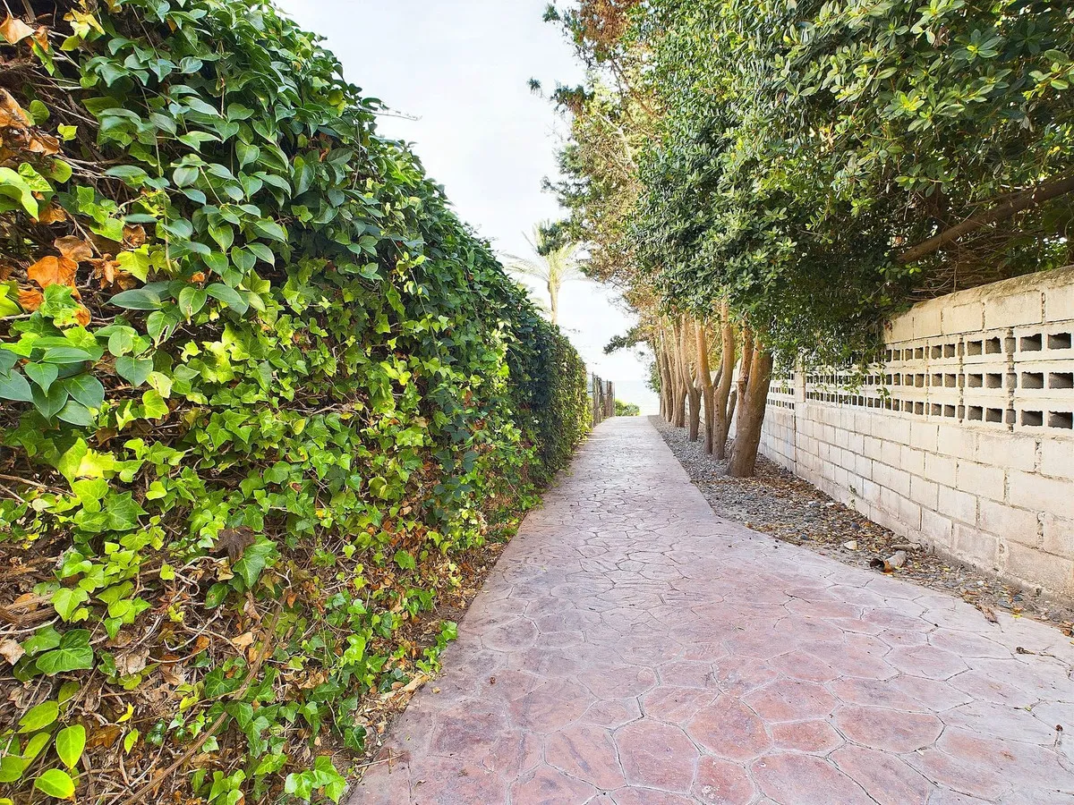 f15a0111-a826-46a4-9498-b67eb2ac5665