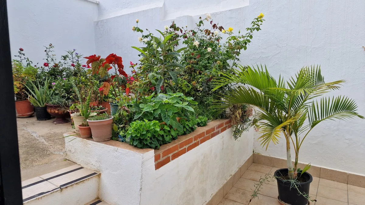 3516099f-01a8-4344-9c4e-59253b67d992