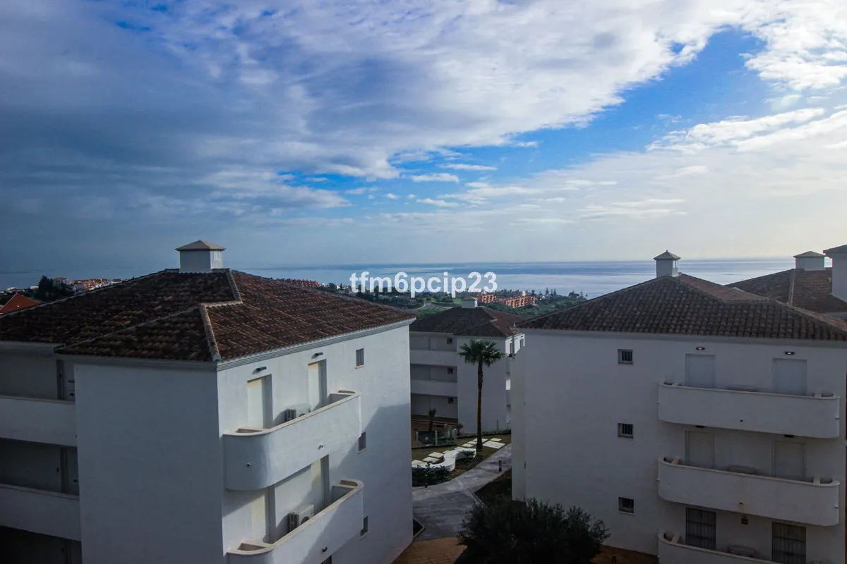 f0d1242e-68b2-4f79-81df-3cc6e77343f9