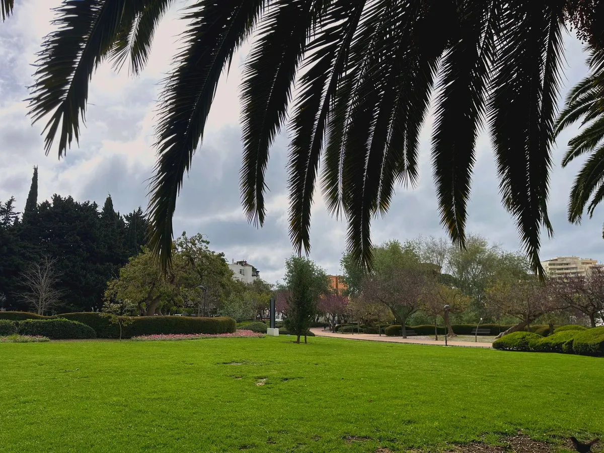 15899769-f78c-493d-8912-9359b0a98f78