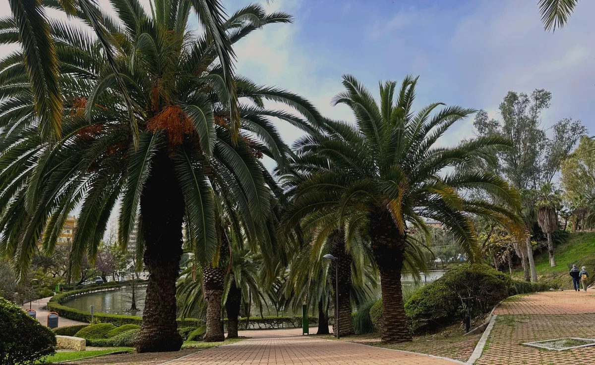 1ff6be45-13ed-4942-85b1-9193664117ed