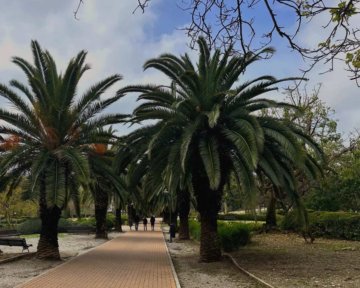 7d8ea0ff-50a8-474e-a8fd-e9b90820a3f1