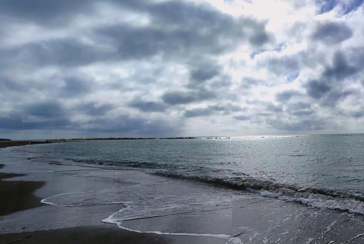 d9b65670-701b-49ea-850a-341435642852