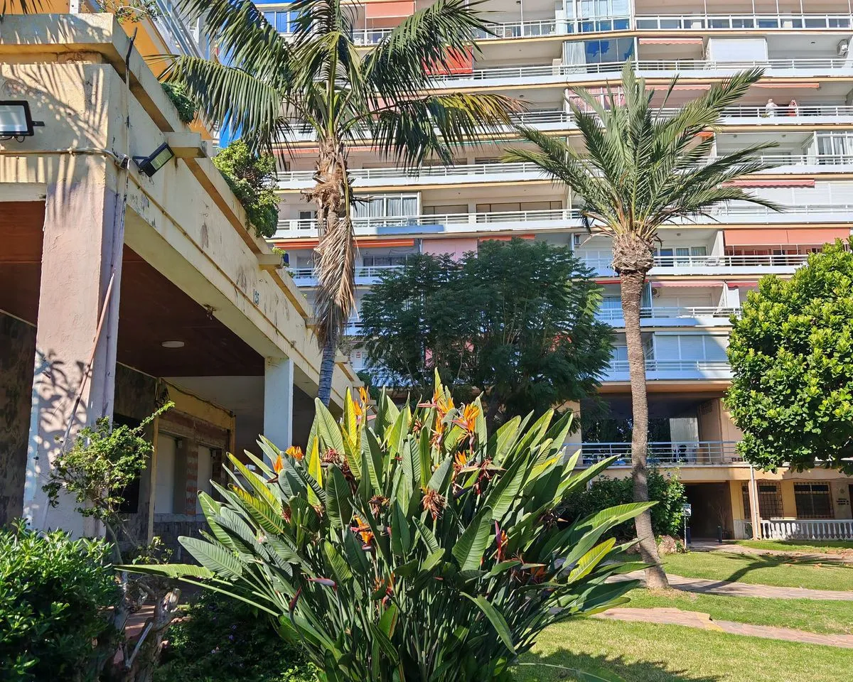 0a17f967-3973-44b7-bd25-06d6b4f98fe6