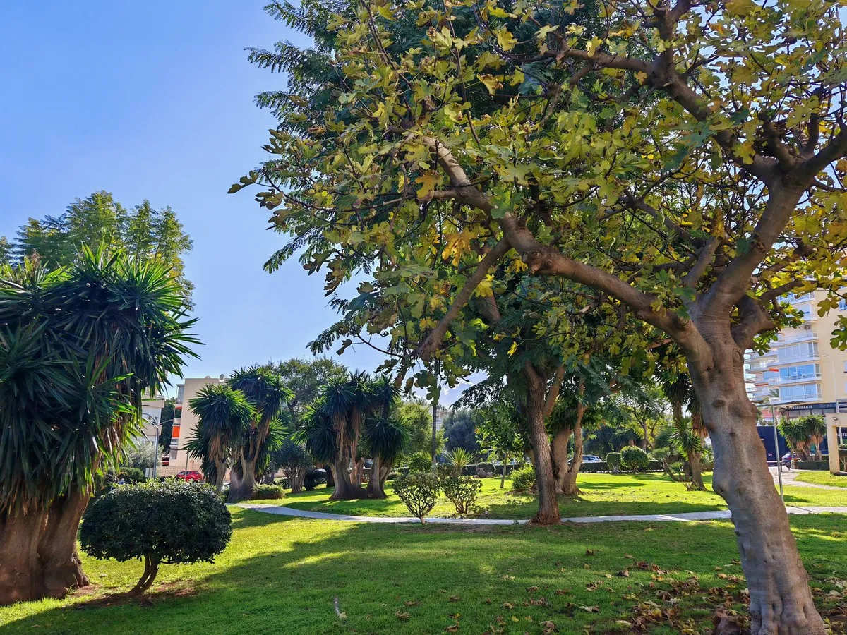 b8dcf04f-aca4-40ff-bfca-c5cc2e84b334