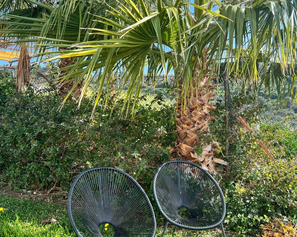 fdb12a44-82a5-49c8-852c-4f726422b4a6