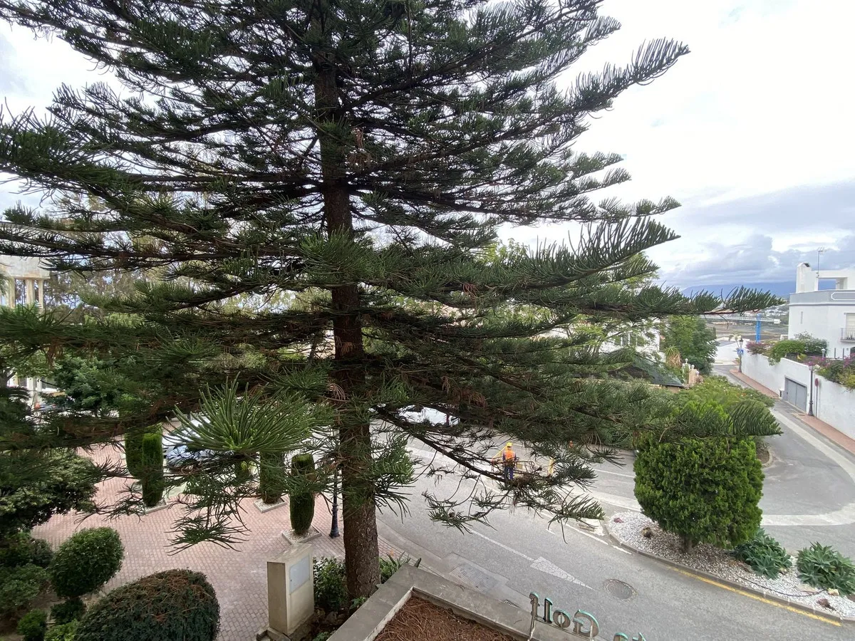 b96ff9f6-2748-4b35-b836-9e88a771d753