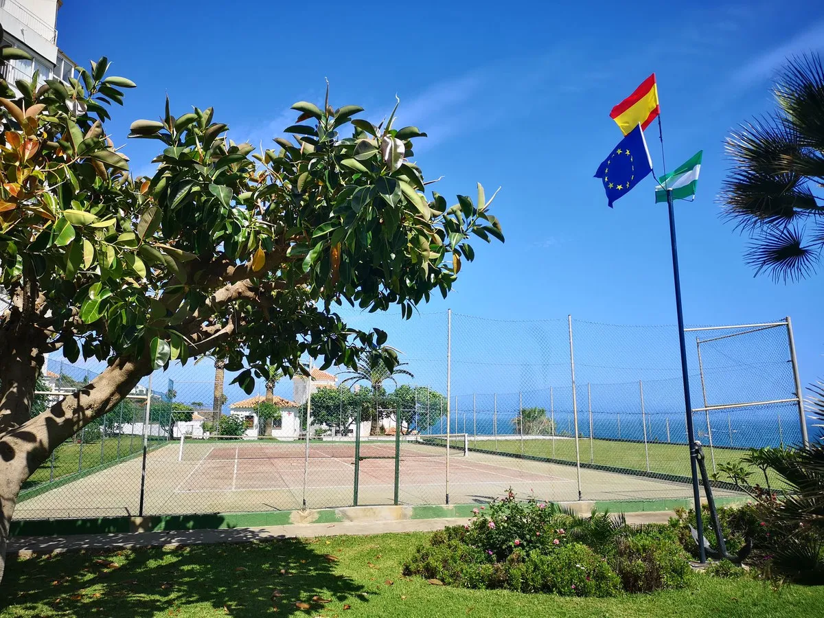 b65956c7-1b3a-41d6-a212-1b5eaf76e1fc