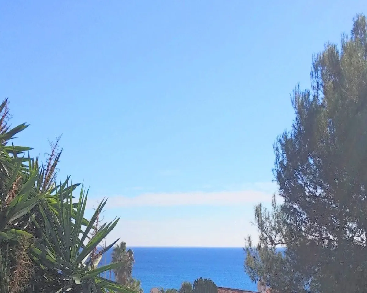 317bc195-d7d8-423b-b39c-888e6e257df9