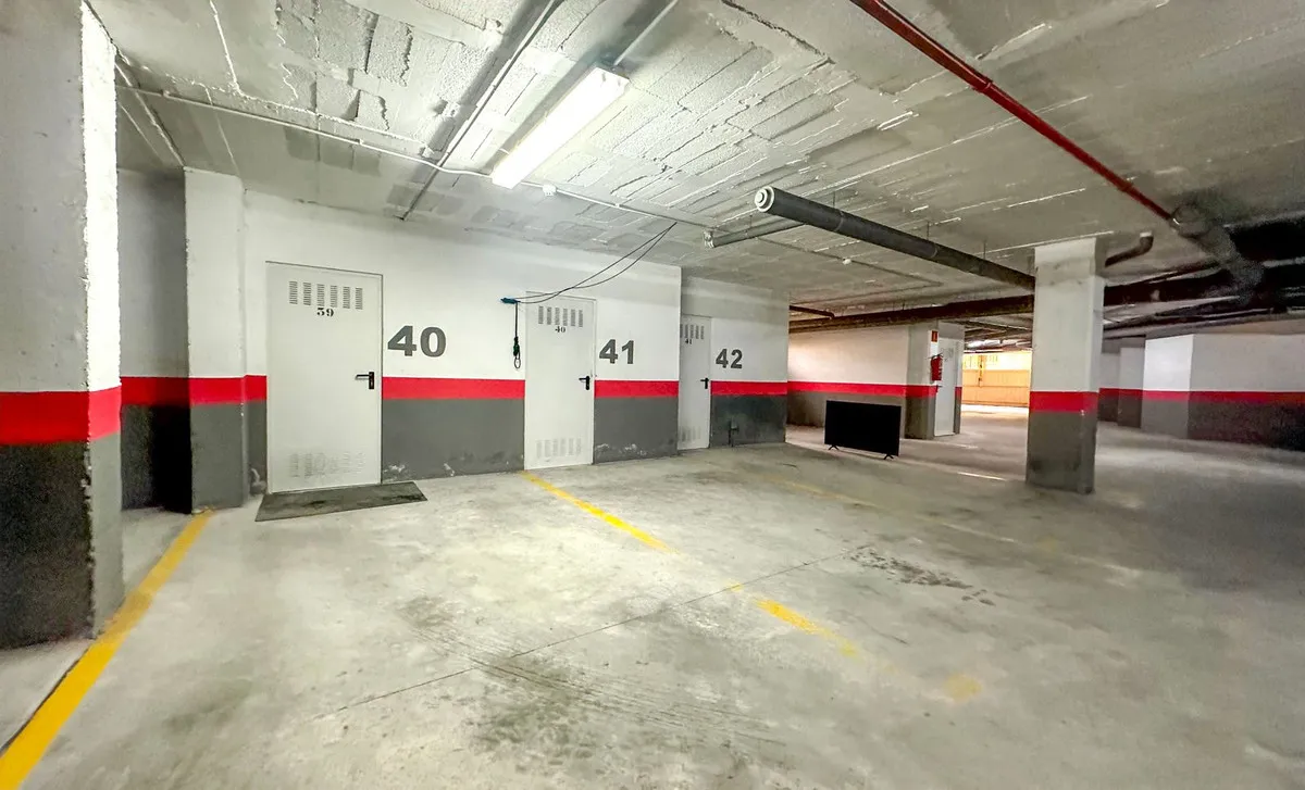 d71cf55a-d65d-43e2-b3f0-383ff1849678